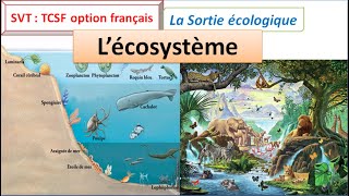 Écosystème  la sortie écologique SVT TCSF [upl. by Henning]