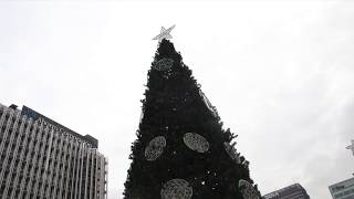 Alquiler de árboles de navidad gigantes para uso exterior  Torres Picasso 2017 [upl. by Yael]