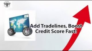 Tradelines for cpn numbers amp ss files Credit Repair Auto Primaries amp Business tradlines available [upl. by Maryn]