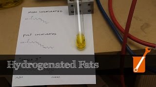 Hydrogenation transform liquid oil into solid fat [upl. by Maiocco50]