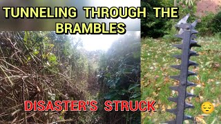 CREATING A HUGE TUNNEL THROUGH BRAMBLES [upl. by Candy]