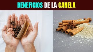 BENEFICIOS de consumir CANELA todos los días [upl. by Hanoj]