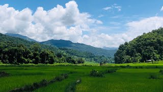 Riti jane baisako ke garu ma ghamanda  manai xain timi bata yakai pala xutina nepali new song 2081 [upl. by Nahshu]