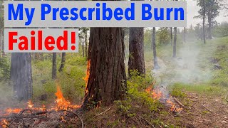 Using Prescribed Fire to Manage My Forest Land amp Failing [upl. by Sorce]