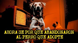 quotADOPTE UN PERRO QUE TENIA COMPORTAMIENTOS EXTRAÑOSquot  PERROS ACTUANDO COMO HUMANOS TryStanTerror [upl. by Cedell232]