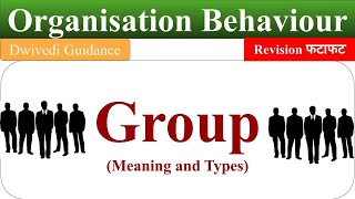 Group  Meaning and Definition Type of Group Group Behaviour Organisational Behaviour OB [upl. by Eirrac77]