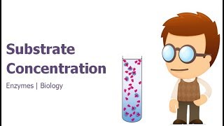 💯 The Effects of Substrate Concentration on Enzymes Explained [upl. by Kalinda]