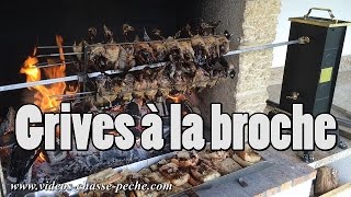 Grives à la broche  Brochette de grives  Recette grive [upl. by Llien682]