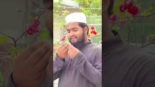 সঁপেছি সঁপেছি প্রাণ রাসূলের শানে  Part 3  Naate Rasul  Bangla Gojol  shorts arifsheikh [upl. by Javed988]