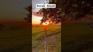 Qurantranslation ✨️ urdu shortsviral shorts nature islamiccontent [upl. by Rhiana]