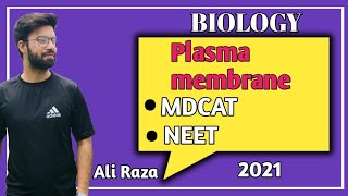 Plasma Membrane Structure And Functions  NMDCAT 2021 [upl. by Dnalro]