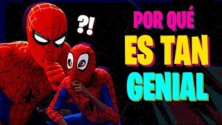 Por qué SPIDERMAN into the Spiderverse es taan GENIAL [upl. by Aihseyk]