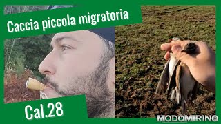 🅲🅰🅻28  Caccia di fine ottobre alla piccola migratoria  Passo assente caldo e siccità [upl. by Valeda]