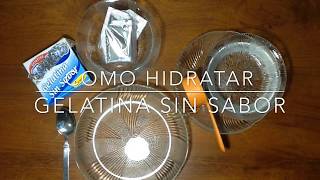 CÓMO HIDRATAR GELATINA SIN SABOR  cómo diluir gelatina para tus postres y recetas [upl. by Ativla296]