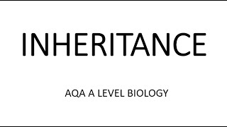 INHERITANCE  AQA A LEVEL BIOLOGY  EXAM QUESTIONS RUN THROUGH [upl. by Camfort339]