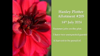 Summer jobs on the allotment 205 [upl. by Aek]