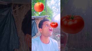 flying eating tomato fruits VS apples to orange  cartoons wala फल youtubeshorts viral foryou [upl. by Nnylireg]