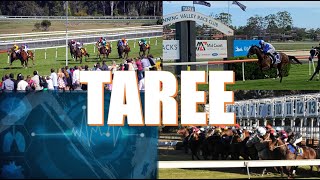 【TAREE】 ENGLISH VERSION ONLY AUSTRALIA HORSE RACE ANALYSIS METRICS SIMULATION [upl. by Acirahs477]