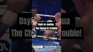 Anthony Joshua vs Oleksandr Usyk Full Fight Highlights usyk anthonyjoshua [upl. by Urson]