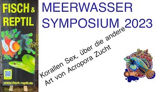 FischampReptil Dr Samuel NitzerKorallen Sex  Über die andere Art von Acropora Zucht [upl. by Kendrick]