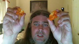 Foodarama Scotch Bonnet Yellow  Hot Pepper Review [upl. by Ablem]