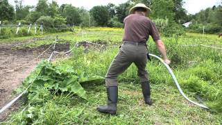 A modern Seymour Midwest Tools scythe at work [upl. by Woodman702]