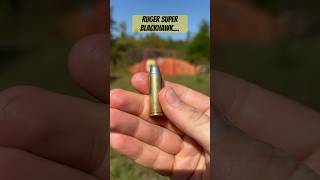 Ruger Super Blackhawk ASMR…🎯 shorts youtubeshorts youtubevideos [upl. by Maupin]