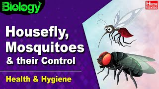 Housefly Mosquito amp their Control  Health and Hygiene  Part II  Biology  Home Revise [upl. by Enilra]