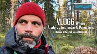 VLOGG Jämthundar amp Älgtjuren [upl. by Arnaud]