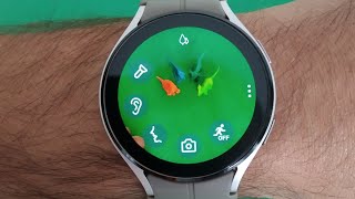 Melhor Aplicativo de câmera para Galaxy watch e relógios com Wear os [upl. by Mloc]