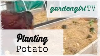 Planting Potato [upl. by Beverie]