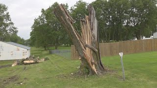 Storm winds rip down trees in Warren County Iowa [upl. by Butta]