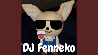 Dj Fenneko [upl. by Eirrot616]