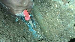 Drainage blockage drainage drain troubleshooting [upl. by Nnaeerb]