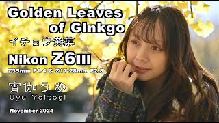 イチョウ黄葉、ポートレート 動画、ニコン Z6III、Nikon、Z35mm F14、Z 1728mm f28、Portrait、4K 120p [upl. by Kloman]