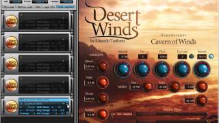 Best Service Desert Winds library review [upl. by Ruphina]