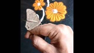 Common Evening Brown Butterfly 🦋 Melanitis leda  Thithli  Fulpakru🌼🦋 Malad Mumbai [upl. by Buehrer109]