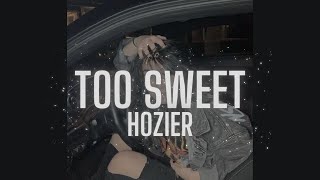 HOZIER  TOO SWEET slowed [upl. by Arihs]