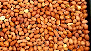 How to make perfect roasted peanuts in the oven [upl. by Notniv]