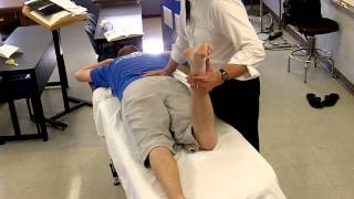 Femoral Nerve Testing prone position [upl. by Akinad173]