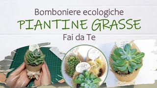 Piante grasse│BOMBONIERE ECOLOGICHE Fai da Te│TUTORIAL│i Quattro Elementi  Naturalis Solutio [upl. by Chuch]