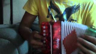 cumbia sampuesana acordeon de juguete [upl. by Larkin]