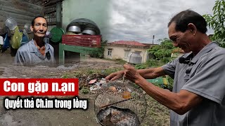 Người đàn ông phóng sanh quot Chim trong lồng chỉ vì con trai gặp tai nạn [upl. by Andrea92]