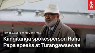 Rahui Papa stand up  4 September 2024  RNZ [upl. by Nahsrad]