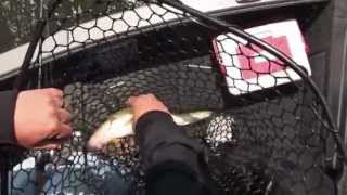 Walleye Fishing on Bitter Lake in Waubay South Dakota [upl. by Mauri]