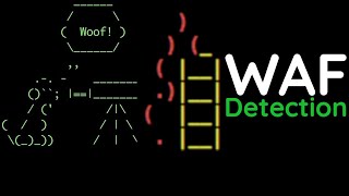 Web Application Firewall Detection Using WafW00f [upl. by Ainat134]