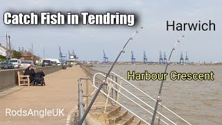 Catch Fish in Tendring HARWICH  HARBOUR CRESCENT [upl. by Neitsirk]