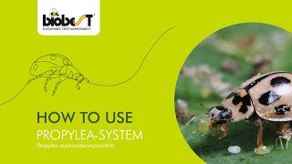 How to use PropyleaSystem from Biobest [upl. by Edbert]