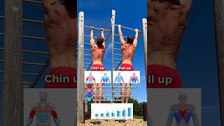 Chin Up vs Pull Up 🙌 pullup chinup pullups chinups calisthenics workout fitness exercise [upl. by Milas904]