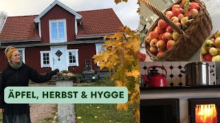 Unser Hof in Schweden  Ruhige und gemütliche Herbsttage im Waldhaus [upl. by Aneda]